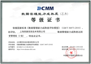 DCMM乙级